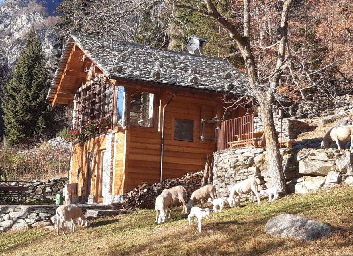 Baita Del Noce Mollia Экстерьер фото